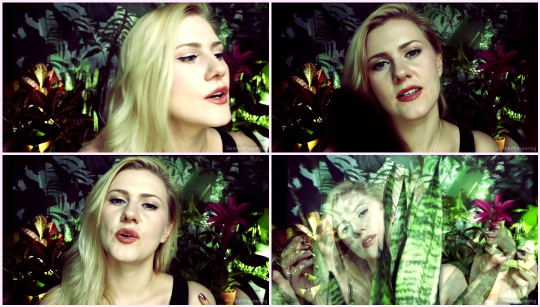 地球元素 ASMR 软语 Gentle ASMR视频